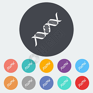 DNA 图标科学保健卫生螺旋医疗绘画遗传技术细胞化学图片