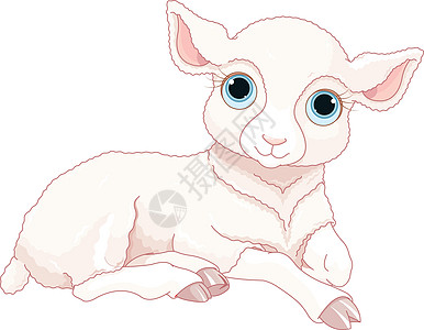 婴儿羊绘画农场插图新生邀请函夹子羊肉乐趣动物卡片图片