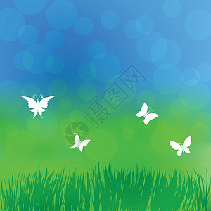 春季背景太阳晴天花园公园墙纸雏菊草地蓝色叶子场地图片
