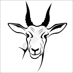 羚星体跳羚插图动物哺乳动物草图荒野羚羊野生动物图片