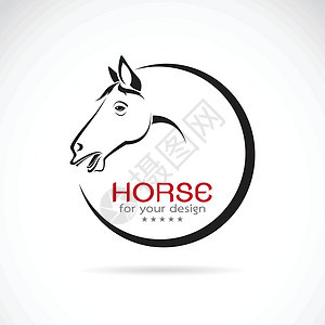 白色背景的马匹设计的矢量图像运动赛马荒野骑术哺乳动物速度展览农场插图野生动物图片