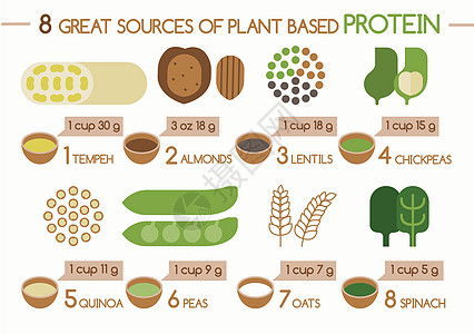 8种植物蛋白蛋白质免疫仪源图片