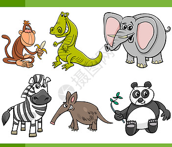 野生动物卡通 se动物插图哺乳动物灵长类鳄鱼收藏童话熊猫绘画荒野图片