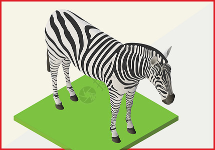 Zebra平坦矢量3d图片