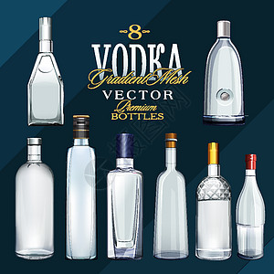 美食与酒各种类型的伏特加酒瓶 它制作图案矢量酒精白色空白广告美食味道插图质量瓶子标准设计图片