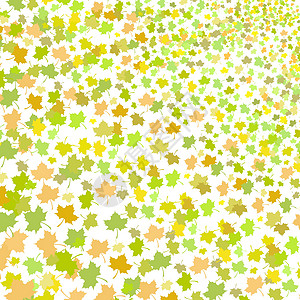 无缝无缝的绿花叶模式图片