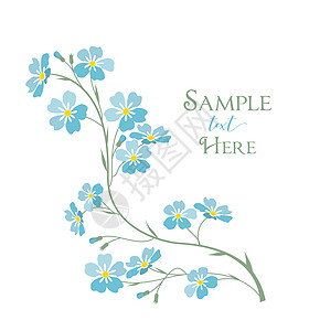 矢量蓝色勿忘我花问候语框架艺术插图绘画野花假期植物花束卡片图片