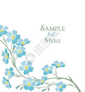 矢量蓝色勿忘我花花园卡片插图野花假期生日绘画花瓣边界花束图片