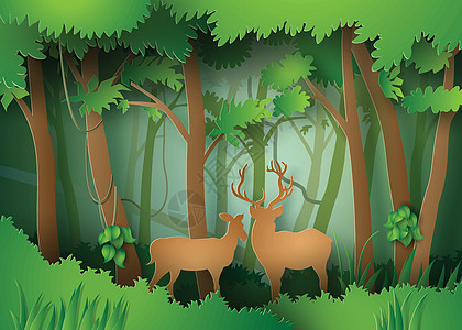 森林里的鹿农村季节绿色场地牛角鹿角动物荒野公园丛林图片