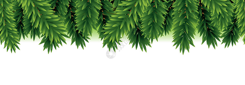 常绿Fir树边框装饰松树枝条风格传统季节庆典插图区系针叶树设计图片