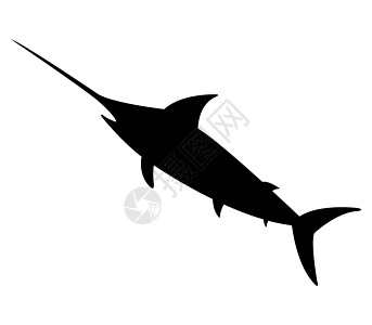 箭鱼图标白色蓝色快乐动物荒野钓鱼徽章跳跃海洋插图图片