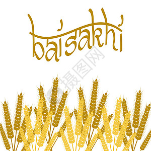 假日白沙基 锡克教徒的新年食物问候语收成粮食小麦仪式传统农业季节假期图片