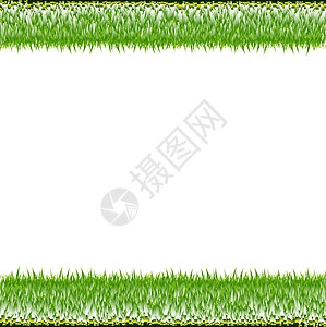 绿草边框白色背景园艺太阳生长花园框架植物边界阳光公园分支机构图片