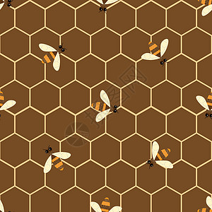 矢量无缝模式与蜜蜂和 honeycom图片