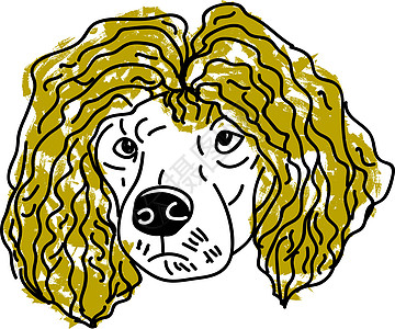 带头发 插图和白色背景的矢量的狗图片