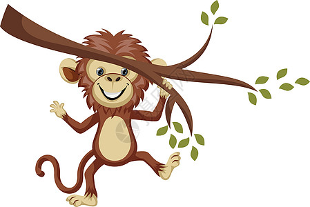 猴子在树枝上 插图 向量在白色背景上图片