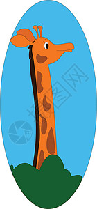 白色背景上的卡通长颈鹿矢量插图图片
