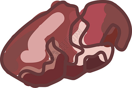 白色背景上的小吃肋骨动物材料肉类食物香肠产品插图红肉图片