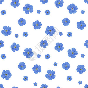无缝矢量花卉图案 白色背景 春天鲜艳的色彩 蓝色的 纺织品和包装纸的完美设计 亚麻花图片