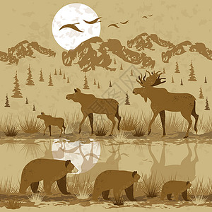 加拿大的风景有山林和riversunset的 驼鹿和熊走路 鸟儿在飞翔 无缝模式图片