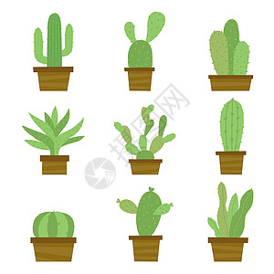 PotCartoon 矢量中的仙人掌和植物集沙漠花盆绿色叶子植物学涂鸦植物群植物花园卡通片图片