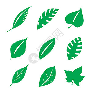 一组绿叶和叶植物自然图标元素矢量它制作图案图片