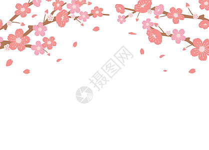 樱花背景图春季他们文化季节横幅庆典卡片婚礼花瓣插图邀请函新娘图片