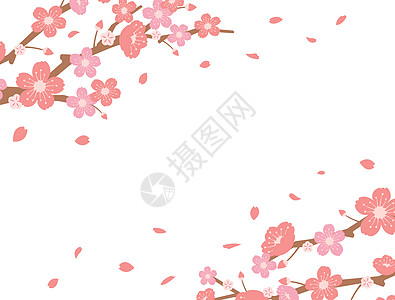 樱花背景图春季他们新娘横幅邀请函庆典插图卡片文化季节花瓣花朵图片