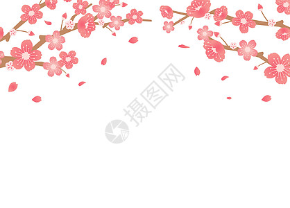 樱花背景图春季他们横幅庆典卡片婚礼插图花瓣植物季节新娘花朵图片