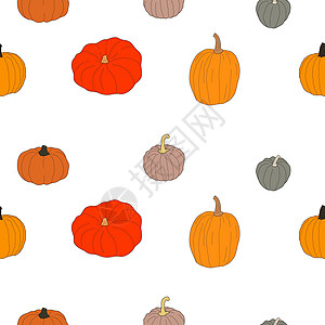 Pumpkin 色彩多彩的无缝图案 白色上孤立的矢量插图打印卡通片花园庆典植物橙子农业苔藓蔬菜节日图片