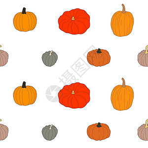 Pumpkin 色彩多彩的无缝图案 白色上孤立的矢量插图植物食物农业打印节日草图苔藓葫芦假期橙子图片
