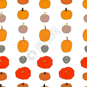 Pumpkin 色彩多彩的无缝图案 白色上孤立的矢量插图葫芦草图苔藓园艺收成棕褐色打印农业紫丁香节日图片