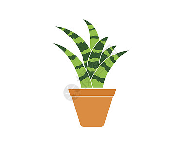 安装在锅点图标徽标矢量插图设计中的工厂中林木海报盆栽收藏花园植物叶子生长园艺植物学图片