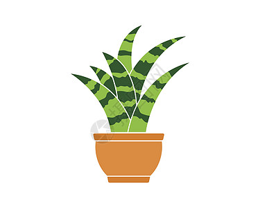 安装在锅点图标徽标矢量插图设计中的工厂中盆栽林木抄本海报植物学芦荟园艺绿色植物白色图片