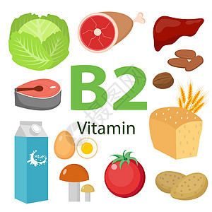 维生素和矿物质食物7维生素 B2-牛奶鸡蛋菠菜牡蛎奶酪蘑菇和西兰花图片