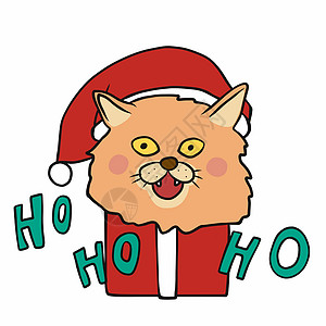 猫圣诞老人在圣诞礼物盒说 ho ho ho 卡通矢量它制作图案图片