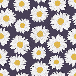 紫色背景上黄色和白色洋甘菊花的矢量无缝图案图片
