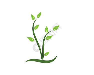 植物图标标志矢量图设计生长园艺白色插图花盆芦荟植物学林木绿色植物群图片