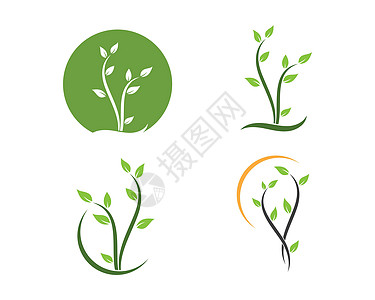 植物图标标志矢量图设计抄本芦荟植物群园艺花盆收藏叶子插图花园绿色图片