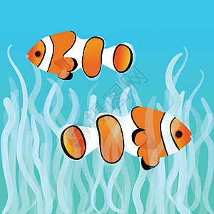 水下的鱼两条小丑鱼设计图片