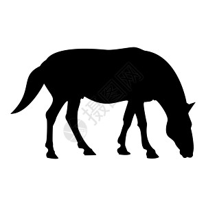 马萨剪影骏马马术马种马纯种野马黑色矢量插图平面样式 imag设计图片