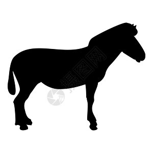 剪影斑马站立动物站立黑色矢量插图平面样式 imag背景图片