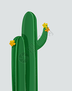 开花仙人掌装饰花园风格情调异国卡通片植物植物群绘画生长图片