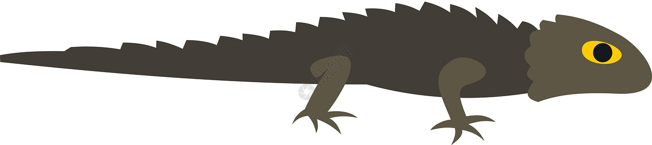 平面样式中的蝾螈图标水族馆尾巴配种荒野环境保护生物学动物学游泳森林图片