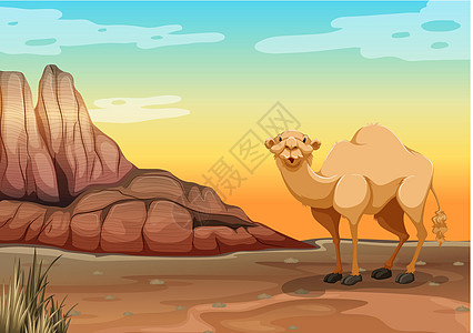 骆驼生物日落野生动物绘画卡通片荒野岩石悬崖甜点动物图片