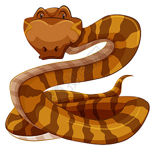 蛇异国动物园棕色绘画卡通片哺乳动物横幅动物生物情调图片