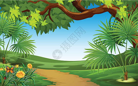 美丽的风景树木地面编队绿色植物动物植物绘画栖息地礼物棕榈图片