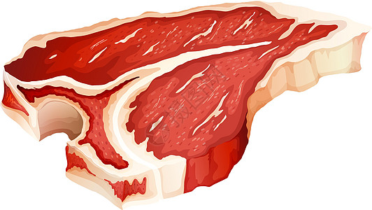 牛肉大葱骨量食物小吃白色绘画红肉牛肉营养食品烹饪猪肉设计图片
