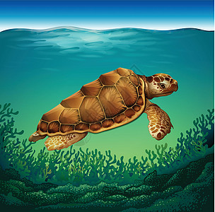 海龟海浪绘画生物绿色栖息地蓝色棕色珊瑚海洋剪贴图片