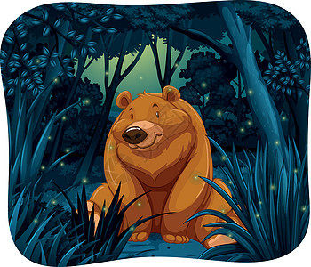 熊和萤火虫丛林情调荒野生物漏洞绘画动物濒危捕食者森林图片